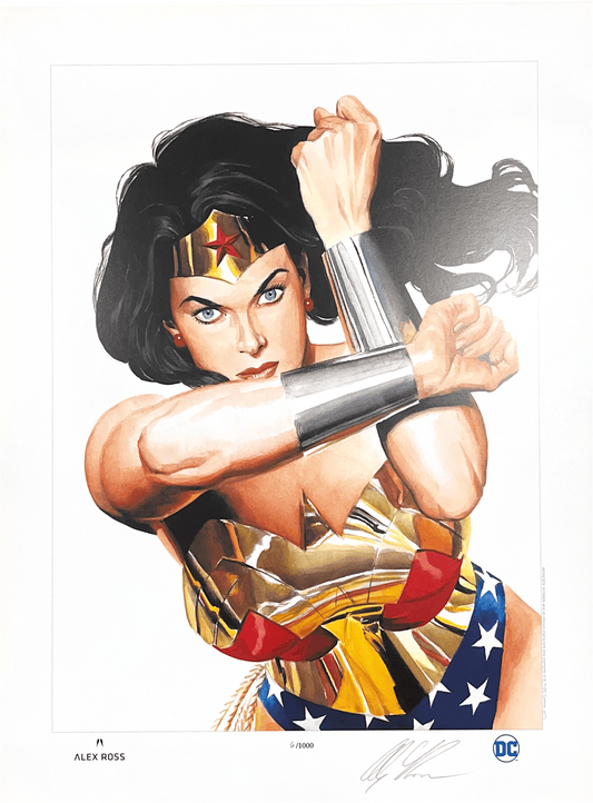 WONDER WOMAN WARRIOR PRINCESS FINE ART PRINT