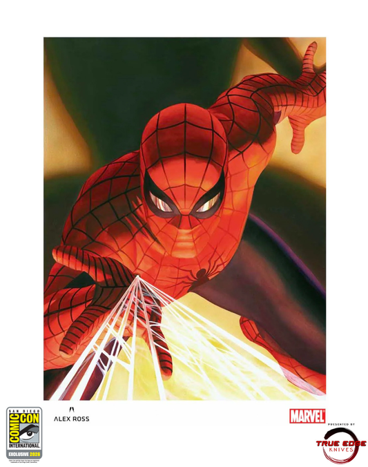 VISIONS: SPIDER-MAN ALEX ROSS FINE ART PRINT